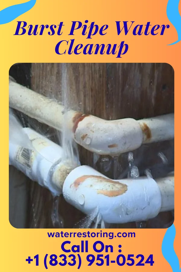Burst Pipe Water Cleanup in Felicity, OH