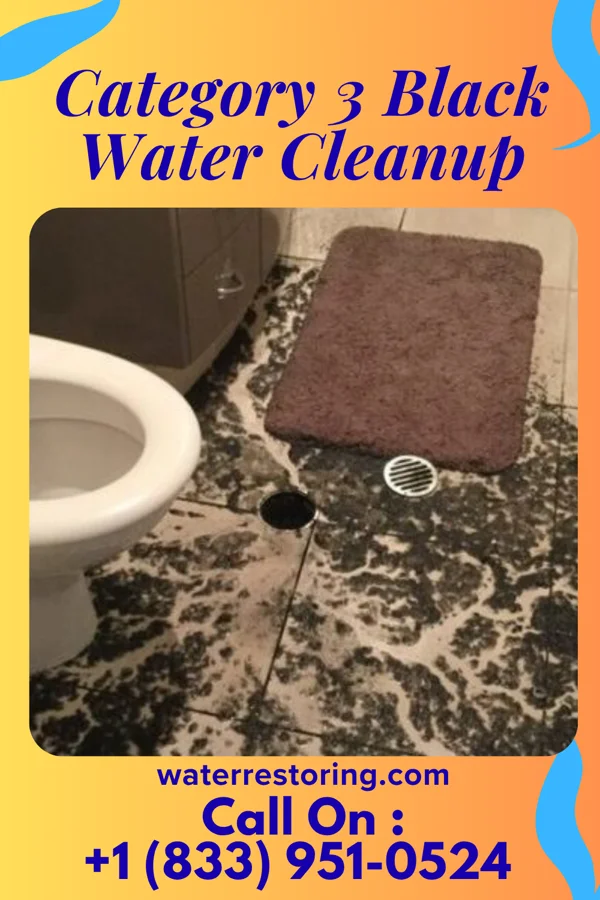 Category 3 Black Water Cleanup in Felicity, OH