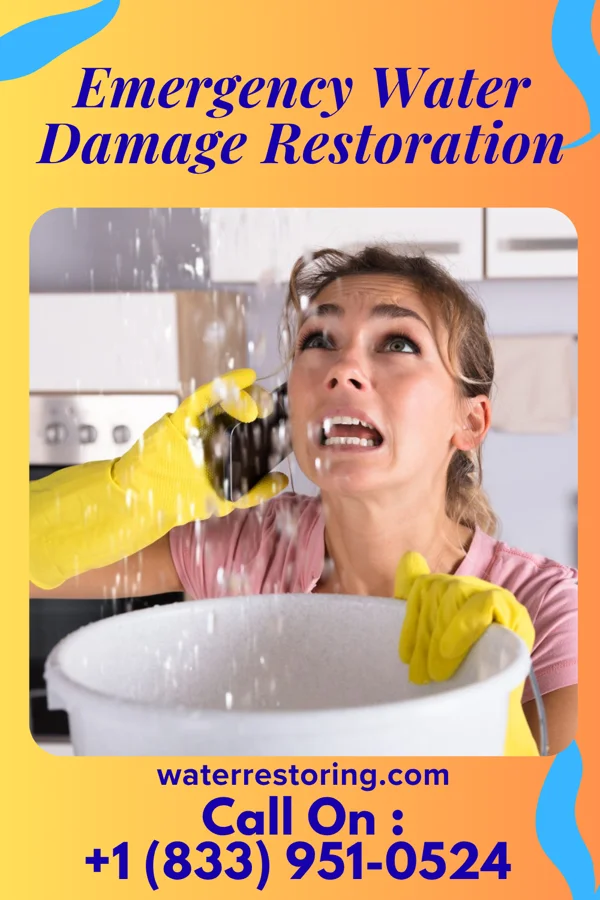 Emergency Water Damage Restoration in Felicity, OH