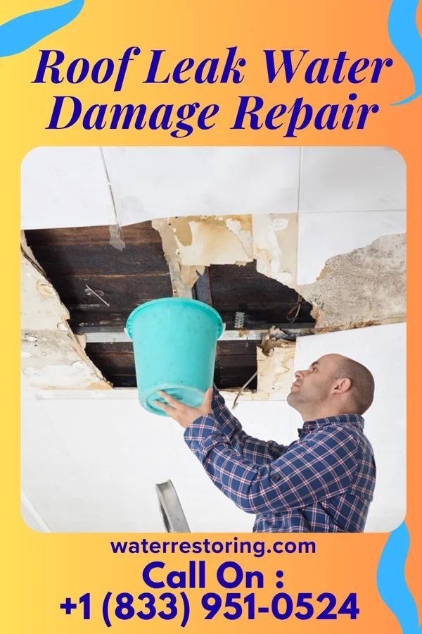 Roof Leak Water Damage Repair in Felicity, OH