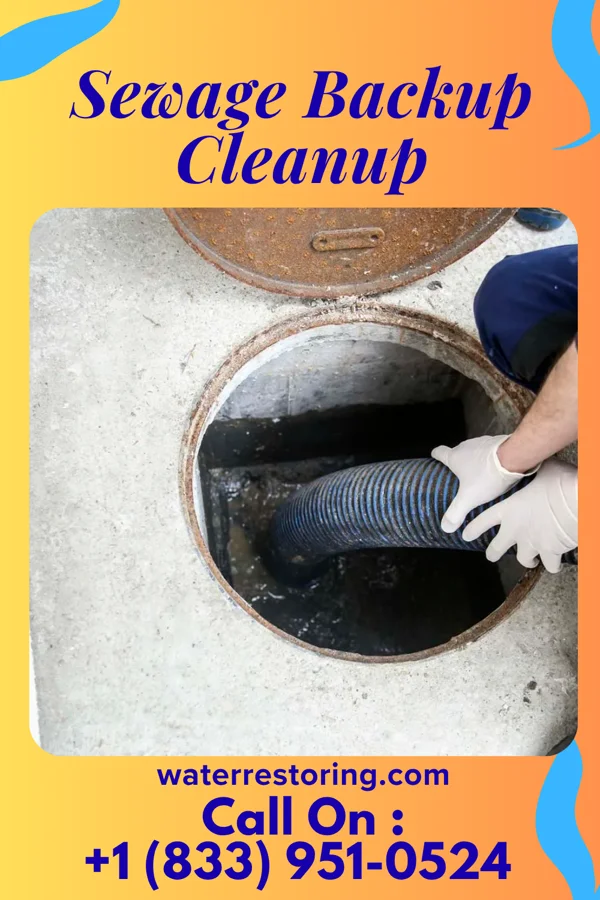 Sewage Backup Cleanup in Felicity, OH