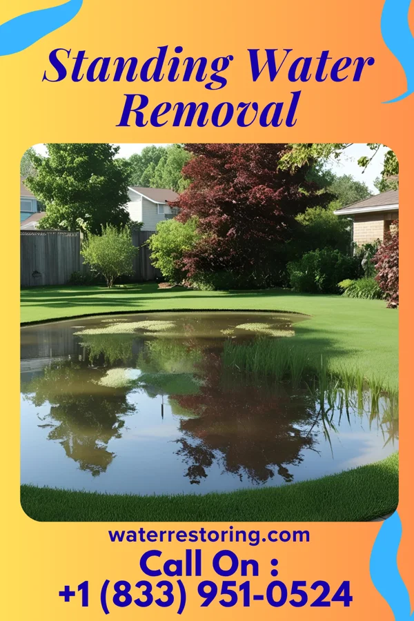 Standing Water Removal in Felicity, OH